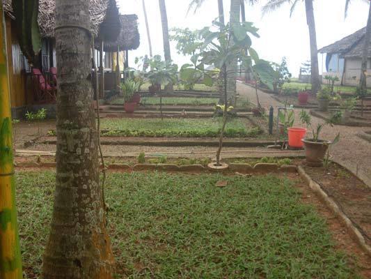 Bamboo Village Varkala Exterior photo